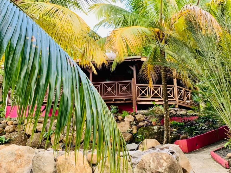 Hotel L'Îlot Palmiers à Pointe-Noire Extérieur photo