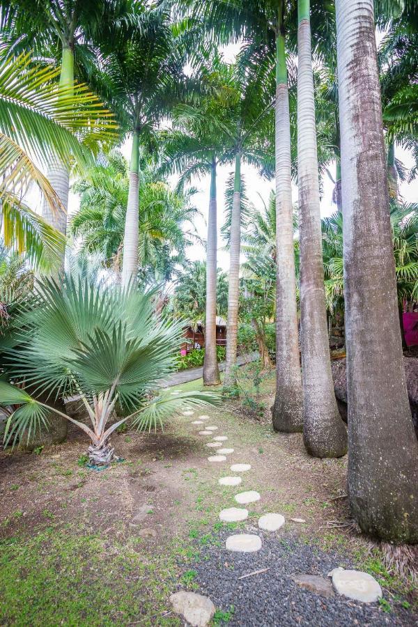Hotel L'Îlot Palmiers à Pointe-Noire Extérieur photo
